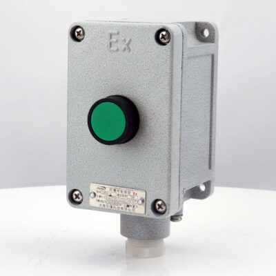 Explosion-Proof Single Push Button LA53 detail