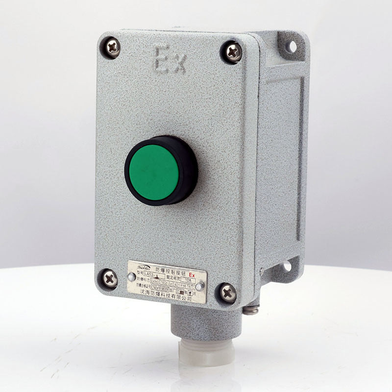 Explosion-Proof Single Push Button LA53 detail