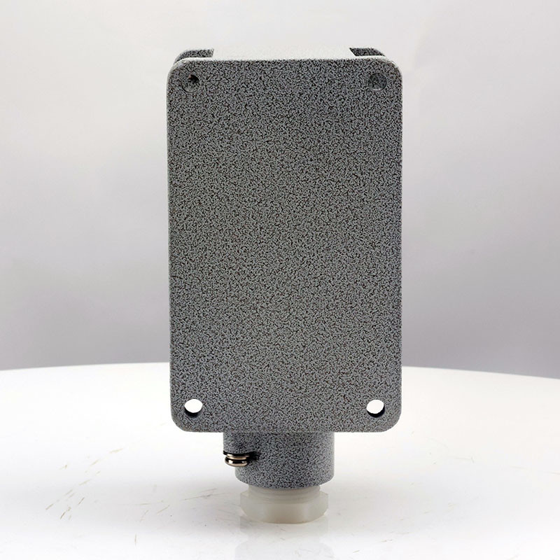 Explosion-Proof Single Push Button LA53 detail