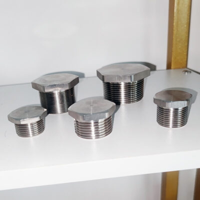 Explosion-Proof Stopping Plug BSFD detail