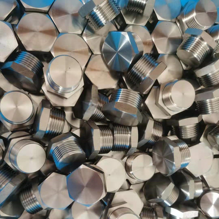 Explosion-Proof Stopping Plug BSFD detail