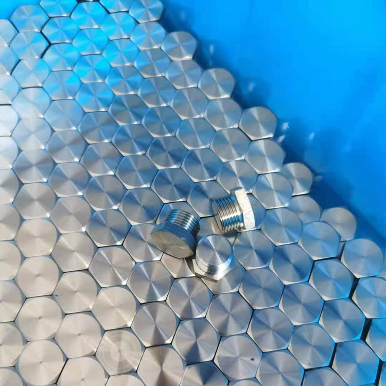 Explosion-Proof Stopping Plug BSFD detail