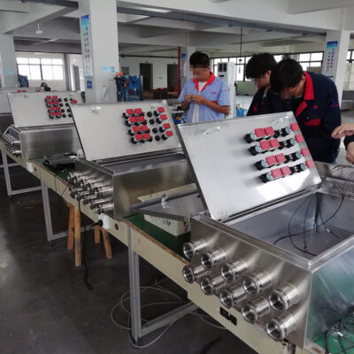 Stainless Steel Explosion-Proof Corrosion-Resistant Distribution Box BX51 detail