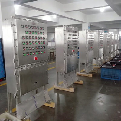 Stainless Steel Explosion-Proof Corrosion-Resistant Distribution Box BX51 detail
