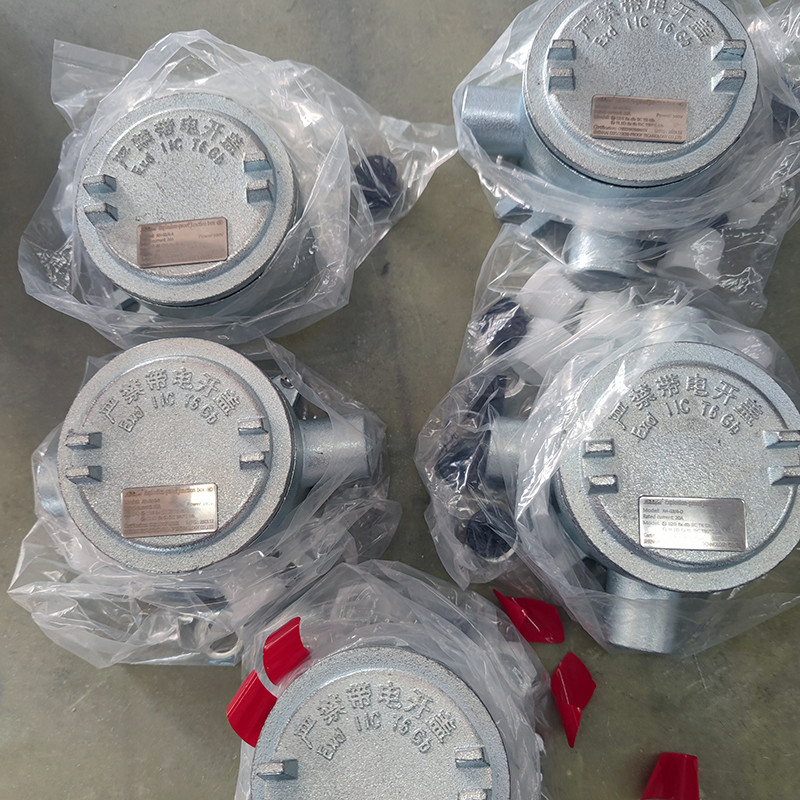 Stainless Steel Explosion-Proof Junction Box AH detail