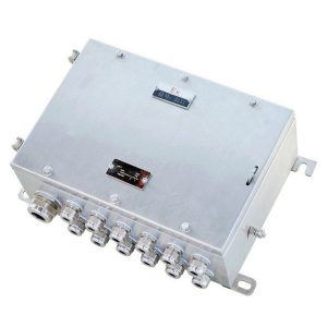 Stainless Steel Explosion-Proof Junction Box EJX
