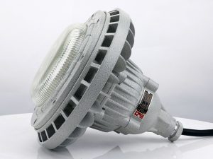 Gas Station LED Explosion-Proof Light_model_pictures