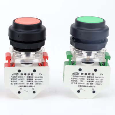 Explosion-Proof Push Button Component BA8060 Green detail