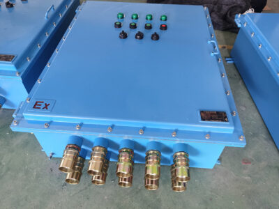 explosion proof control box-2