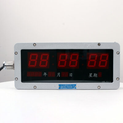 Explosion-Proof Digital Clock BSZ2010 detail