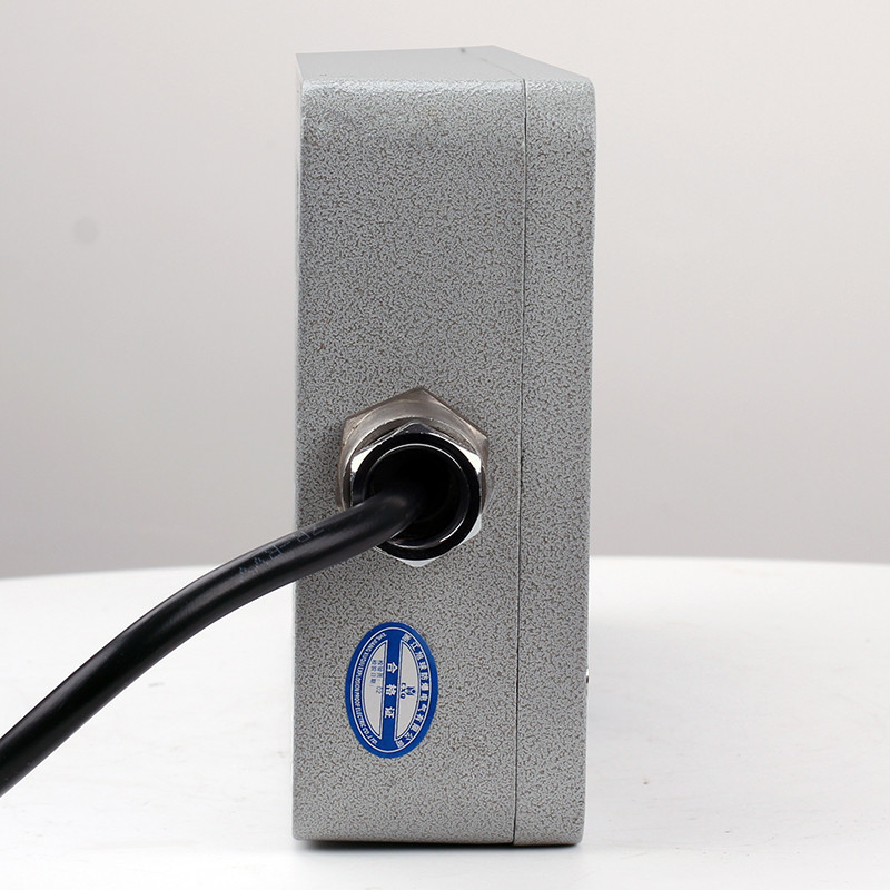 Explosion-Proof Digital Clock BSZ2010 detail
