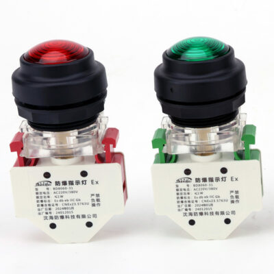 Explosion-Proof Indicator Light Component BD8060 Green detail