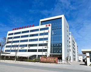 definisi standar sampul perusahaan