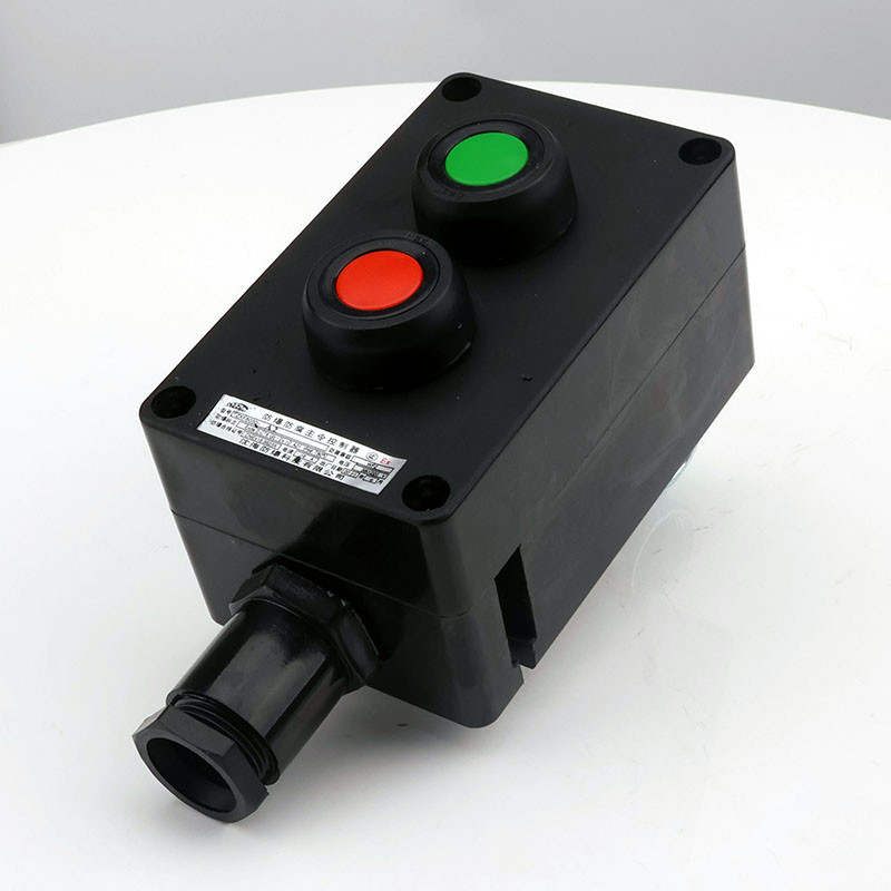 Explosion-Proof Corrosion-Resistant Double Push Button ZXF8030 detail