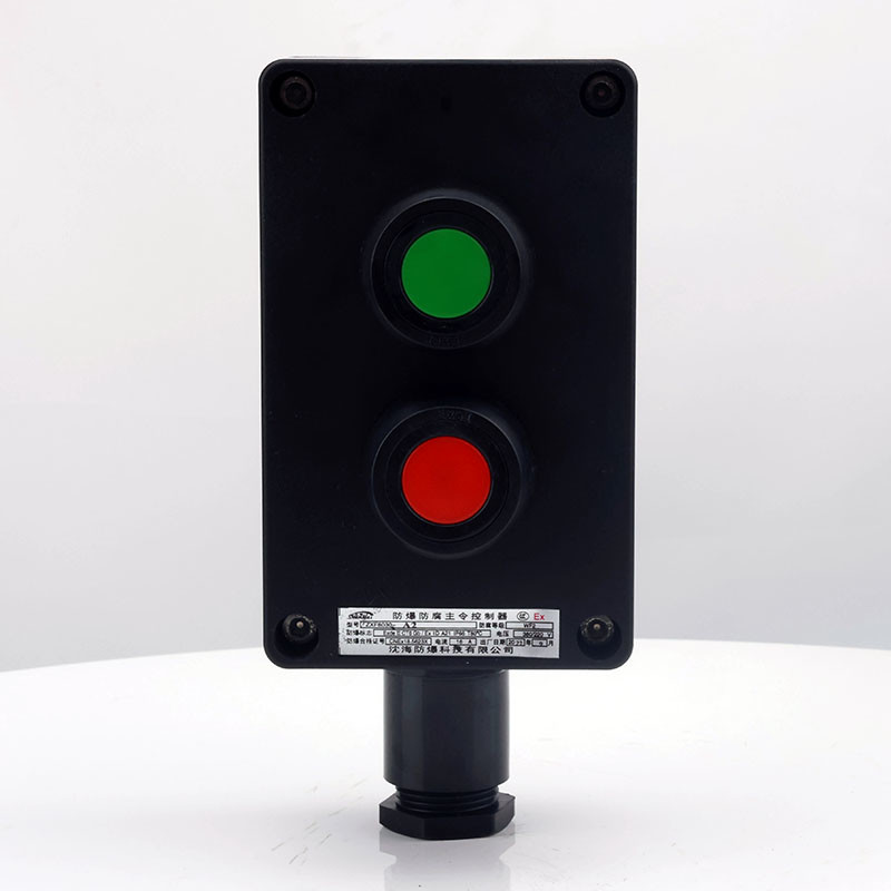 Explosion-Proof Corrosion-Resistant Double Push Button ZXF8030 detail