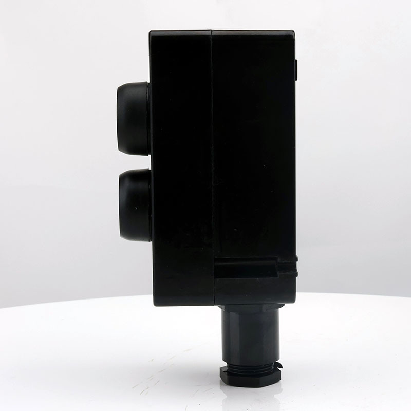 Explosion-Proof Corrosion-Resistant Double Push Button ZXF8030 detail