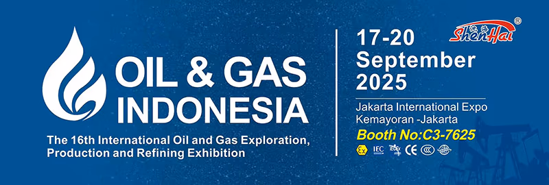2025 petróleo y gas indonesia-2