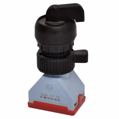 Explosion-Proof Corrosion-Resistant Push Button Component BAN8062 detail