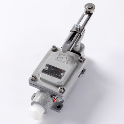 Explosion-Proof Limit Switch BLX51-C detail