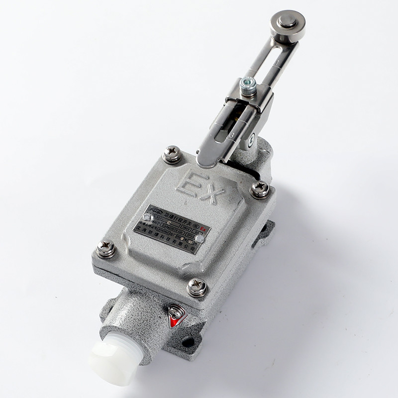 Explosion-Proof Limit Switch BLX51-C detail