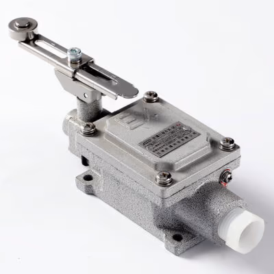 Explosion-Proof Limit Switch BLX51-C detail