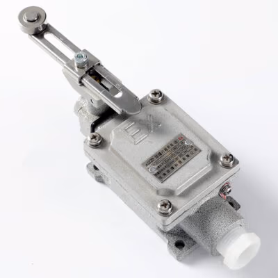 Explosion-Proof Limit Switch BLX51-C detail