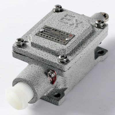 Explosion-Proof Limit Switch BLX51-L detail