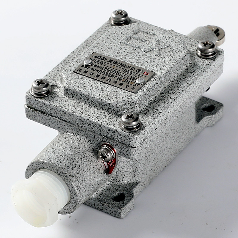 Explosion-Proof Limit Switch BLX51-L detail