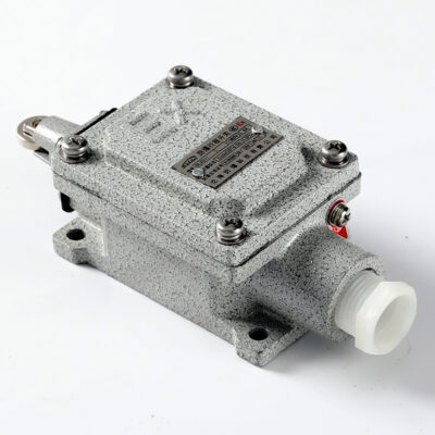 Explosion-Proof Limit Switch BLX51-L detail