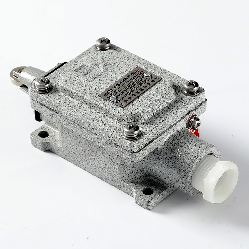 Explosion-Proof Limit Switch BLX51-L detail