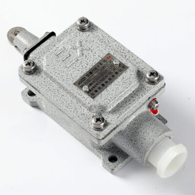 Explosion-Proof Limit Switch BLX51-L detail