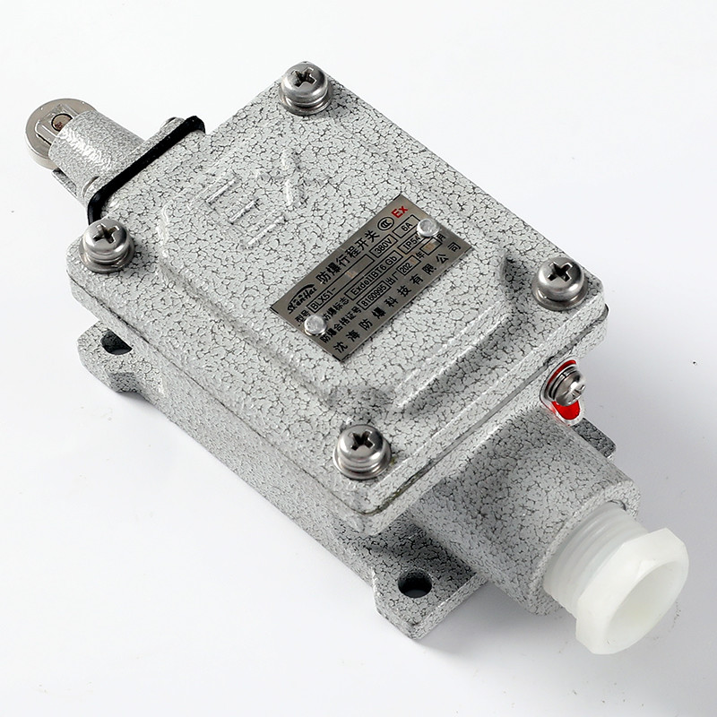 Explosion-Proof Limit Switch BLX51-L detail