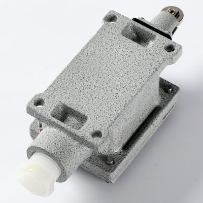 Explosion-Proof Limit Switch BLX51-L detail