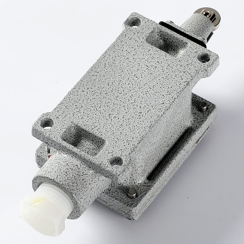 Explosion-Proof Limit Switch BLX51-L detail
