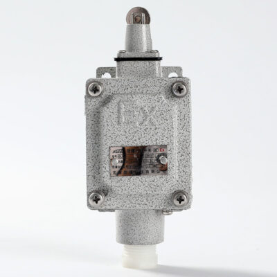 Explosion-Proof Limit Switch BLX51-L detail