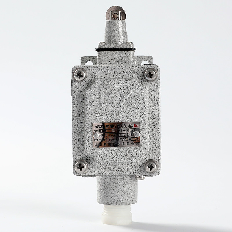 Explosion-Proof Limit Switch BLX51-L detail