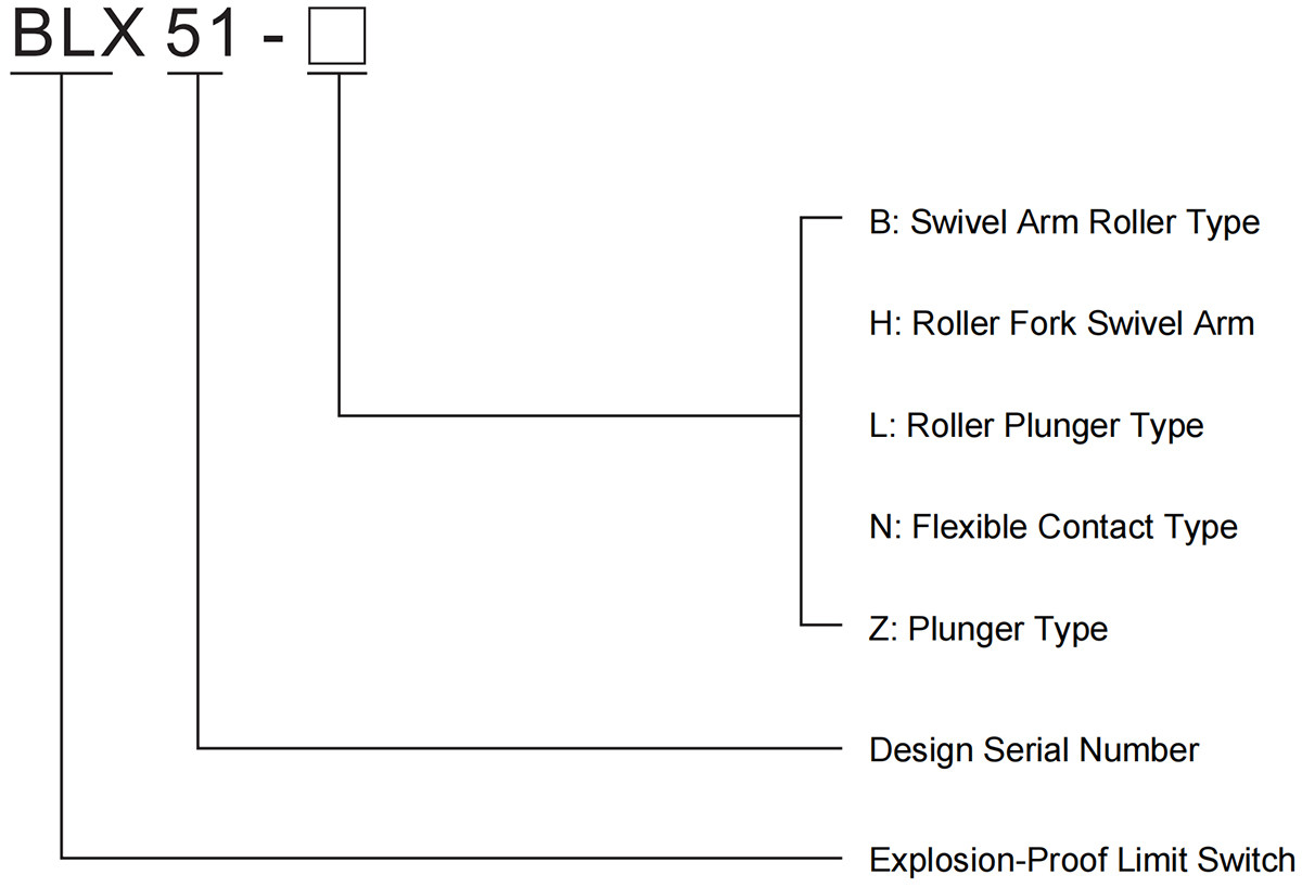 explosion-proof limit switch blx51 model meaning
