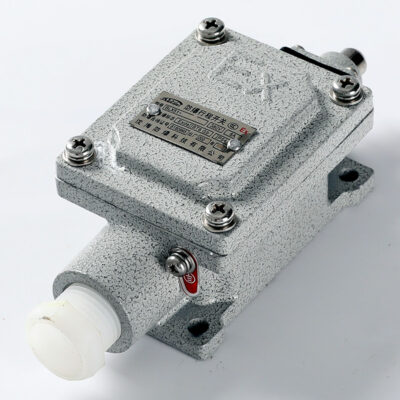 Explosion-Proof Limit Switch BLX51-Z detail