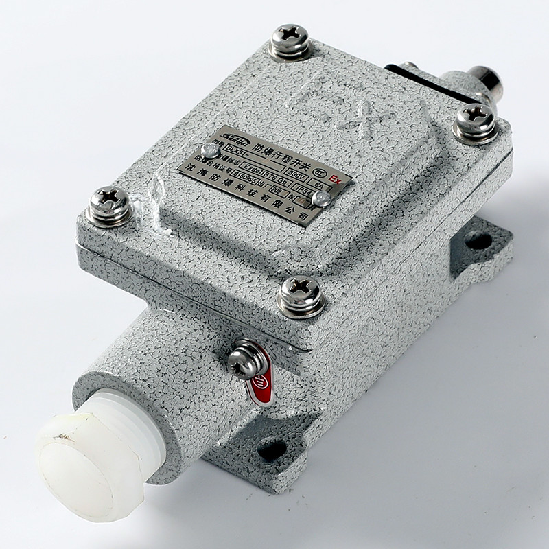 Explosion-Proof Limit Switch BLX51-Z detail