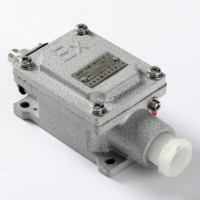 Explosion-Proof Limit Switch BLX51-Z detail