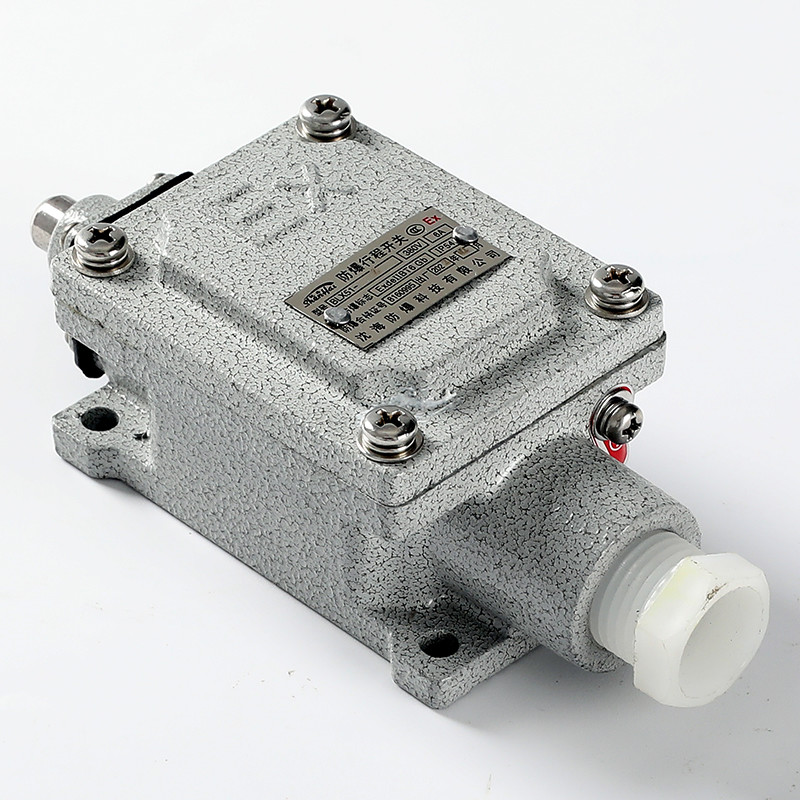 Explosion-Proof Limit Switch BLX51-Z detail