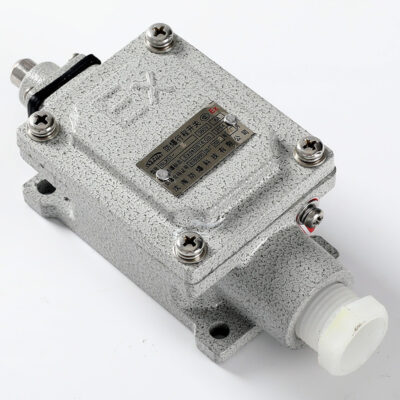 Explosion-Proof Limit Switch BLX51-Z detail