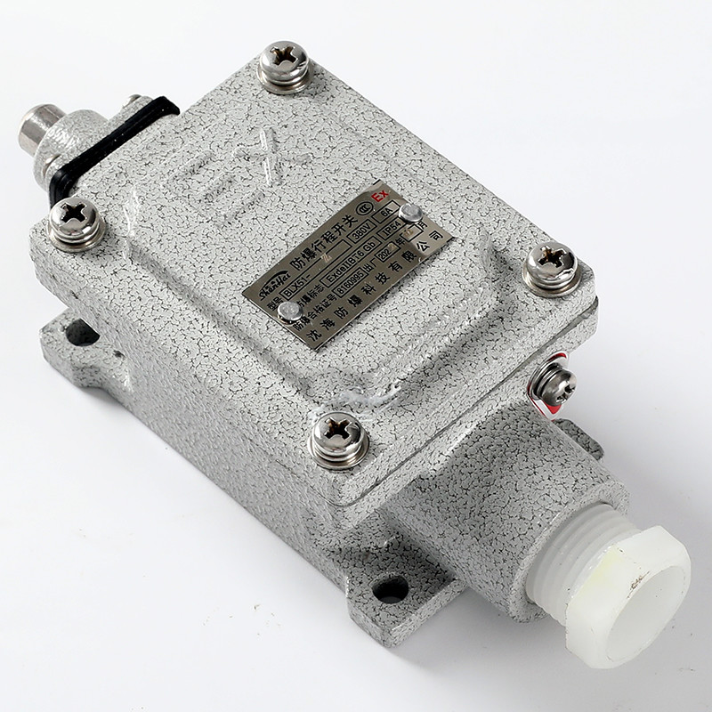 Explosion-Proof Limit Switch BLX51-Z detail