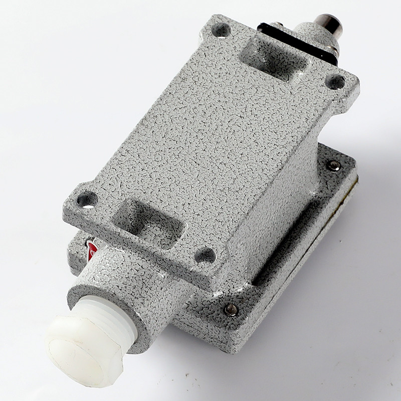 Explosion-Proof Limit Switch BLX51-Z detail