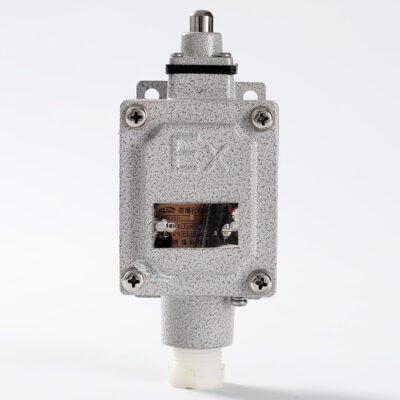 Explosion-Proof Limit Switch BLX51-Z detail