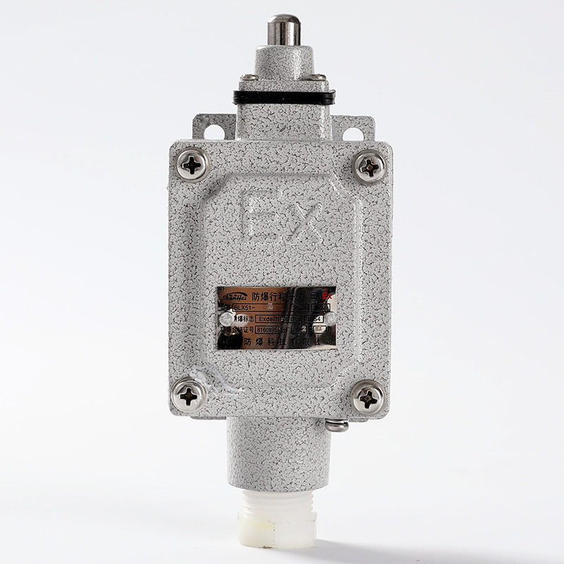 Explosion-Proof Limit Switch BLX51-Z detail
