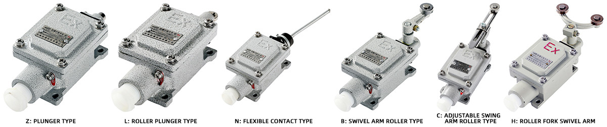 explosion-proof limit switch blx51