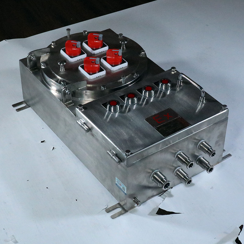 Stainless Steel Explosion-Proof Corrosion-Resistant Distribution Box BX52 detail