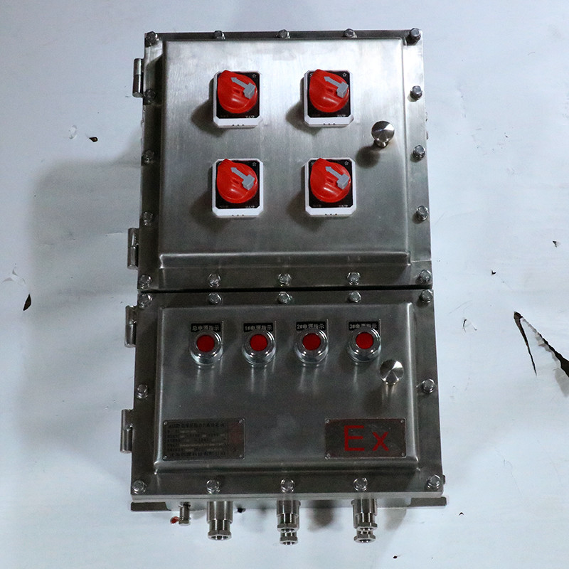 Stainless Steel Explosion-Proof Corrosion-Resistant Distribution Box BX52 detail
