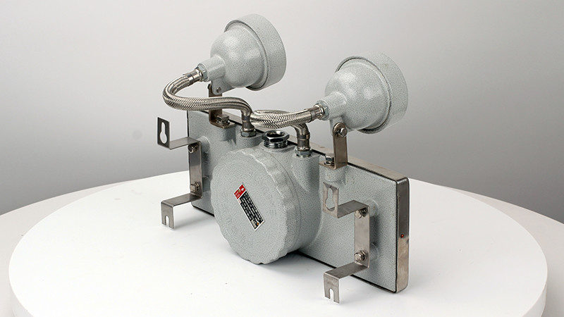 stainless steel explosion-proof emergency light bcj51-10